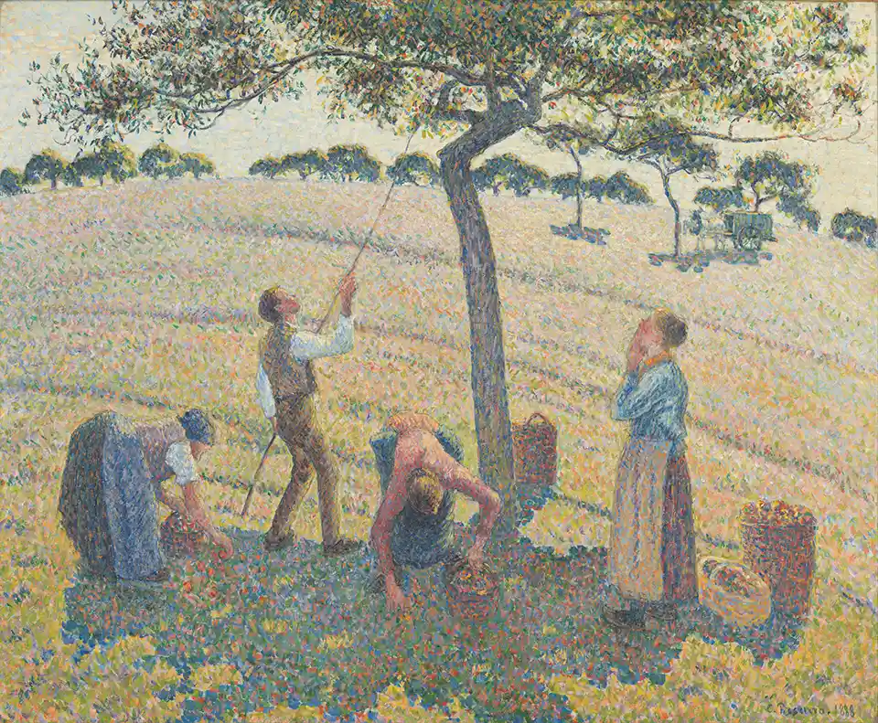 Apple Harvest